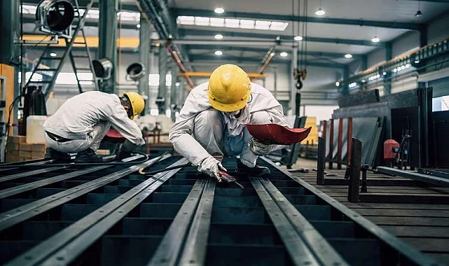 Evka 2 Fare İlaçlama